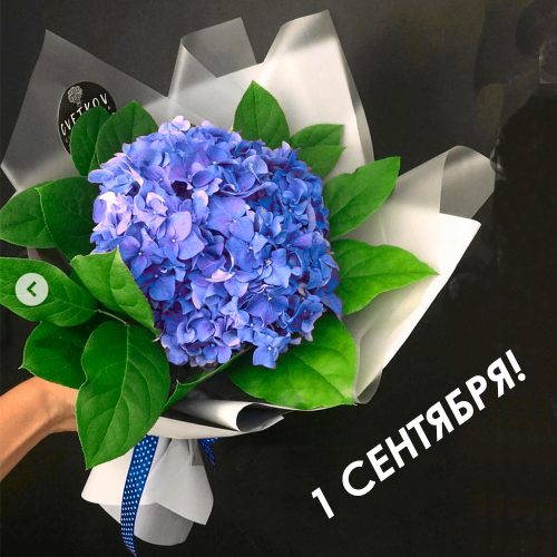 Полотна оживают, а цветы застывают: как флористика вдохновлялась Айвазовским и другими маринистами