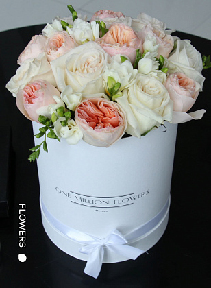 Коробка "Парма Джулия" White